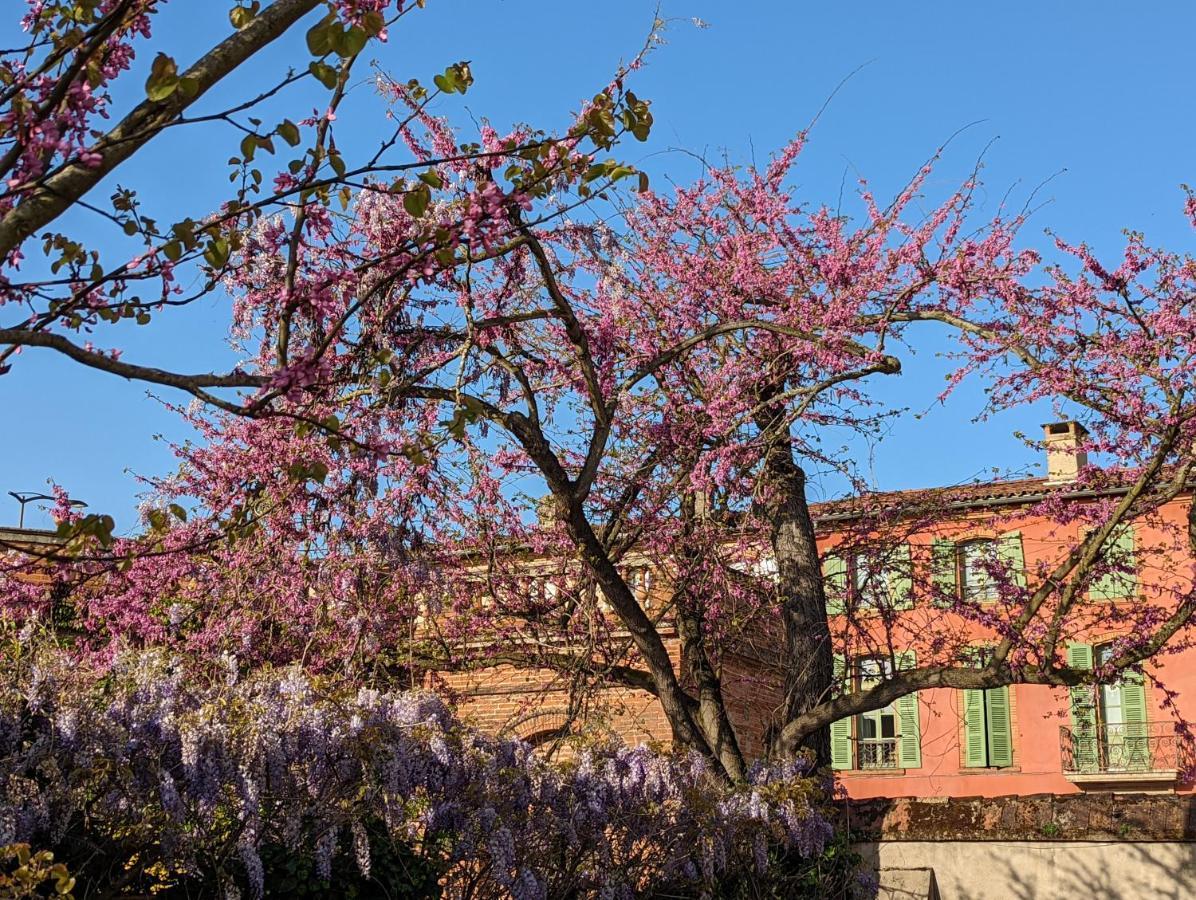 Moustier * Montauban