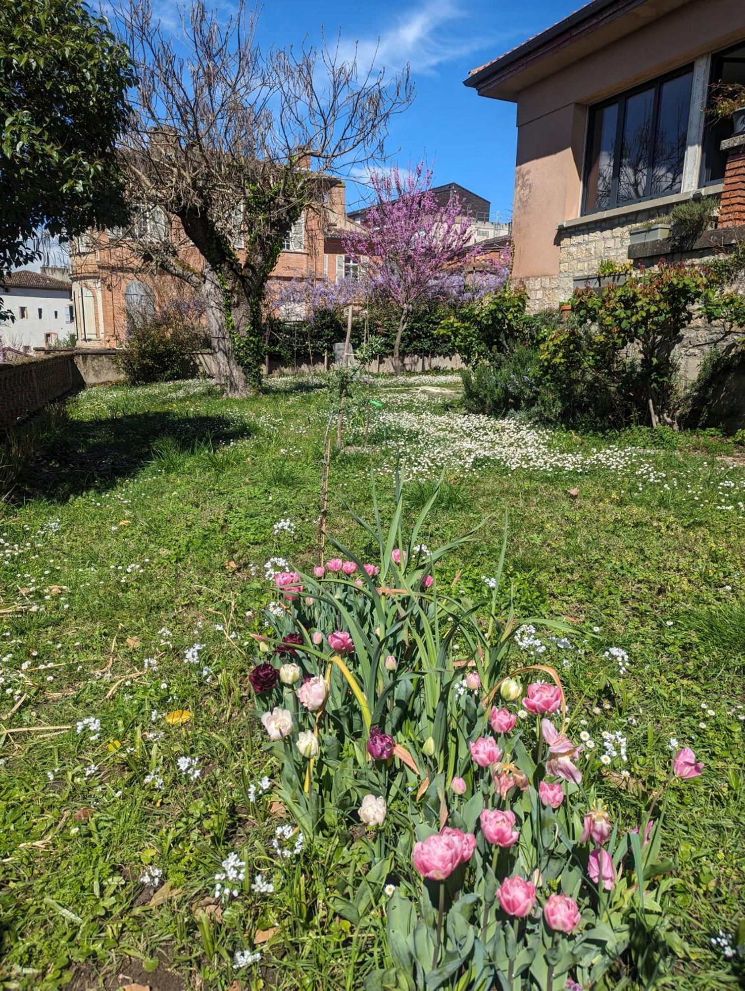Moustier Montauban